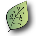 Acck Logo